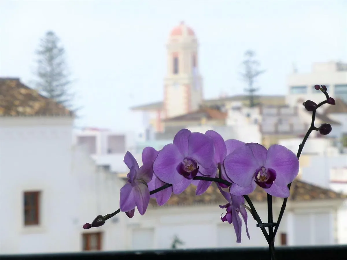 Apartment Apartamento Centrico Y Luminoso Estepona