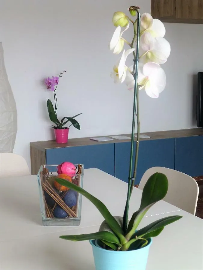 apartamento centrico y luminoso Estepona